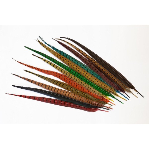2x 50 cm-plume de faisant veniard- couleur medium olive