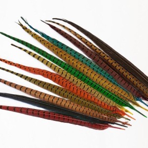 2x 50 cm-plume de faisant veniard- couleur medium olive