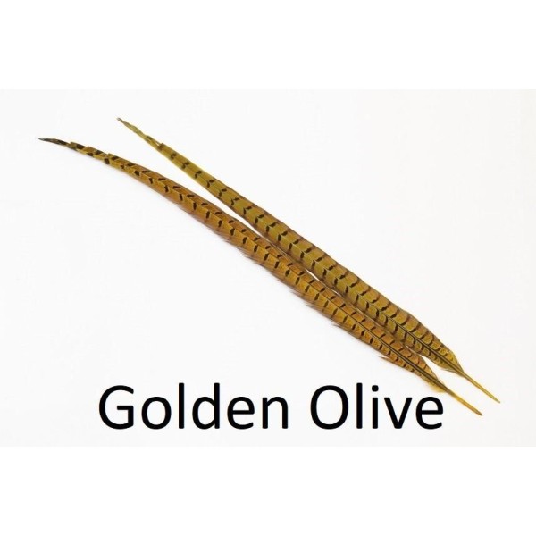 2x 50 cm- plume de faisant veniard- couleur golden olive