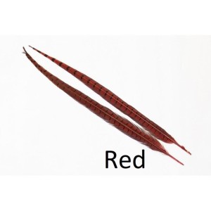 2x 50 cm- plume de faisant veniard- couleur rouge