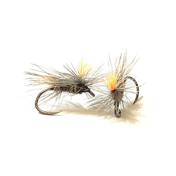 Mouche sèche tavanas-h12