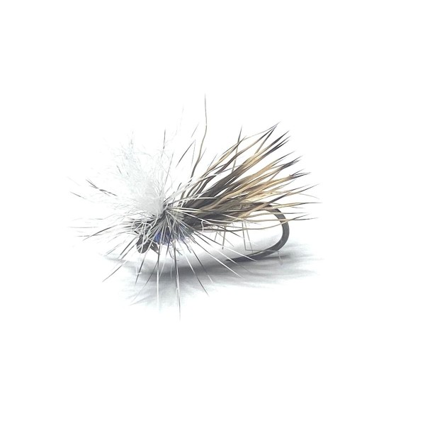 Mouche sèche tavanas-h16