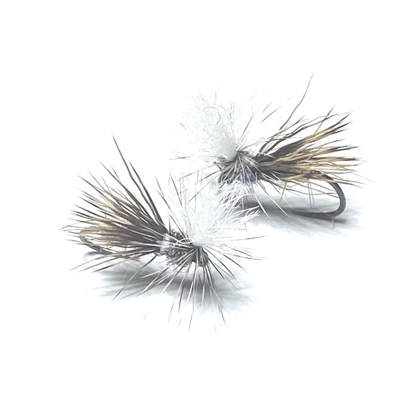 Mouche sèche tavanas-h14