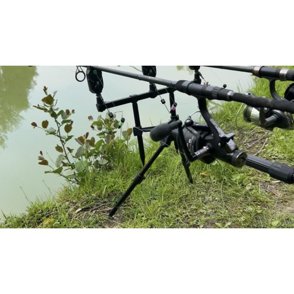 DAIWA - Canne carpe debrayable