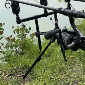 DAIWA - Canne carpe debrayable
