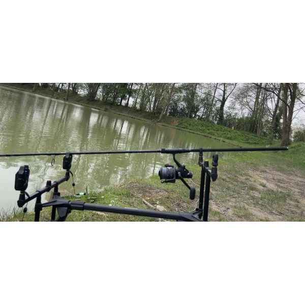 DAIWA - Canne carpe debrayable