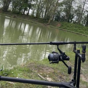 DAIWA - Canne carpe debrayable
