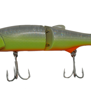 AUTOBOATS FISHING - Swayward 16 : Spécial Gros Brochets SY29MGG