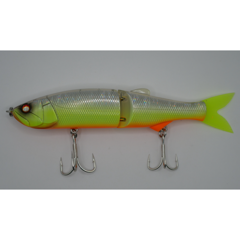 AUTOBOATS FISHING - Swayward 16 : Spécial Gros Brochets SY29MGG