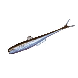 AUTOBOATS FISHING - Optimus Finesse 120 & 140 x5 120 Deep Blue
