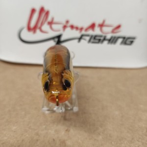 XORUS - Z-claw Evo