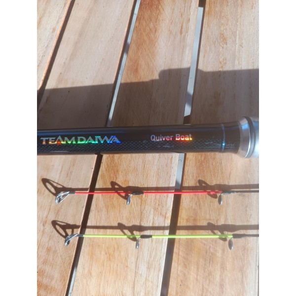 DAIWA - Canne Quiver Boat TDQB330H AF