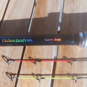 DAIWA - Canne Quiver Boat TDQB330H AF