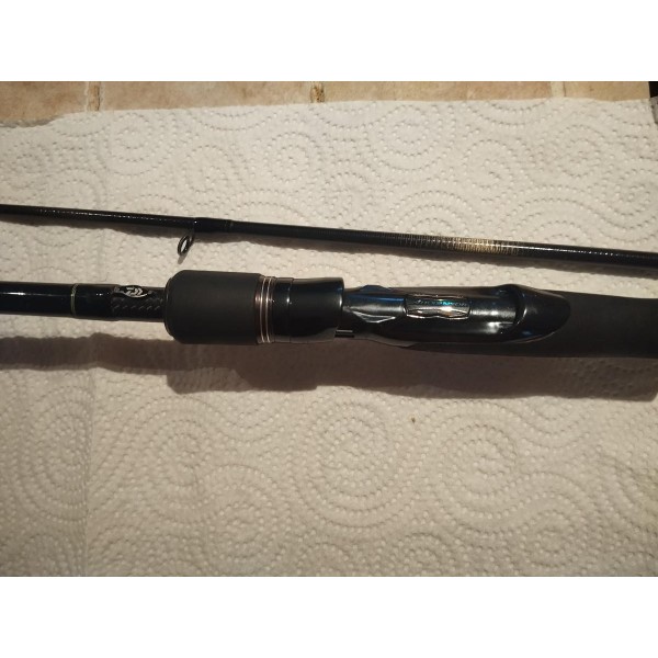 DAIWA - Canne Prorex 15-40g - 240cm