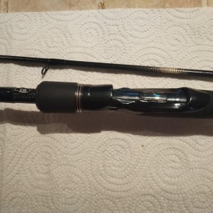 DAIWA - Canne Prorex 15-40g - 240cm