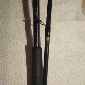 DAIWA - Canne Prorex 15-40g - 240cm