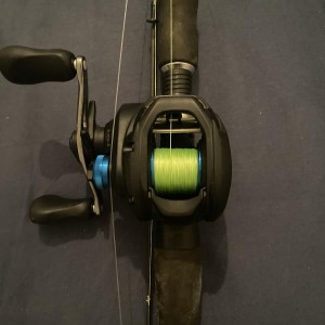 DAIWA - Canne casting 7-21g