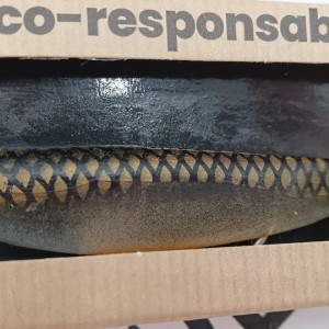DELALANDE - Leurre Souple armé Swat Shad 11 cm/15 gr