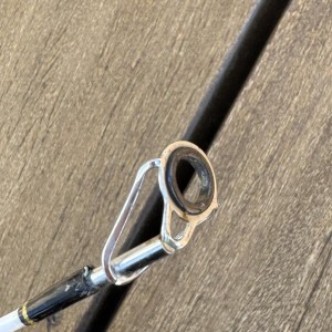 PENN - Ensemble Surf Wrath Ii Surfcasting Combo