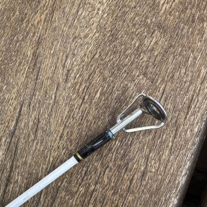 PENN - Ensemble Surf Wrath Ii Surfcasting Combo