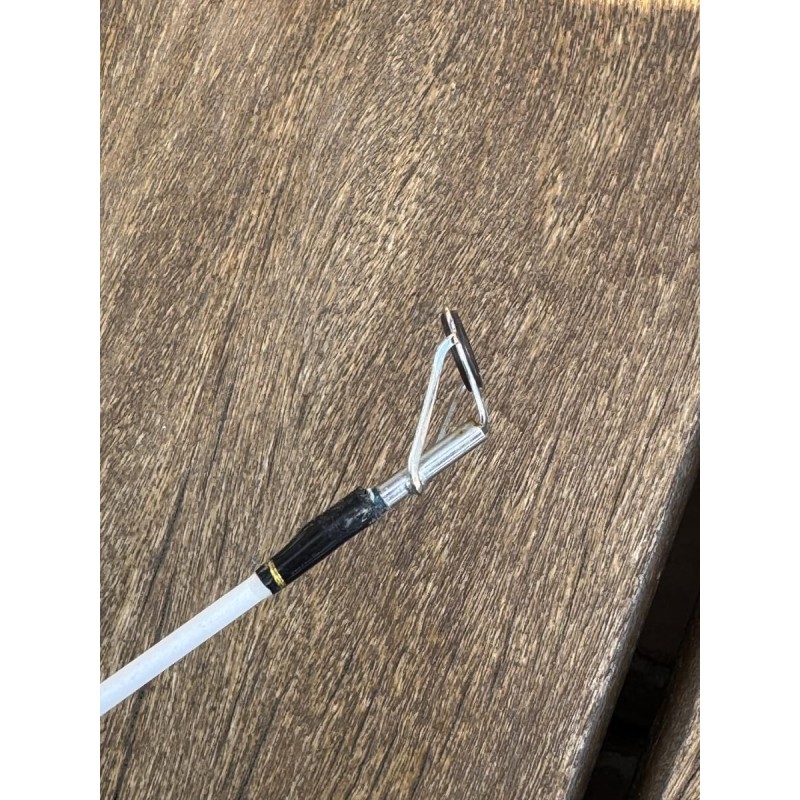PENN - Ensemble Surf Wrath Ii Surfcasting Combo