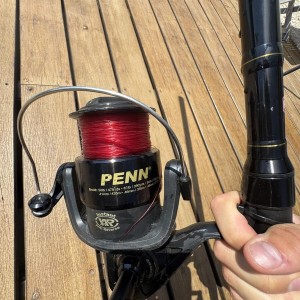 PENN - Ensemble Surf Wrath Ii Surfcasting Combo