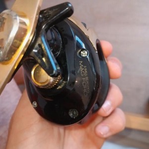 DAIWA - Ensemble casting samurai bass