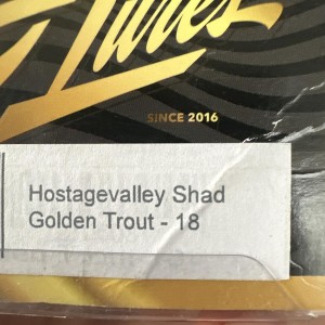 HOSTAGEVALLEY - Shad 18