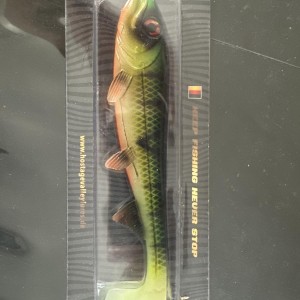 HOSTAGEVALLEY - Shad 18