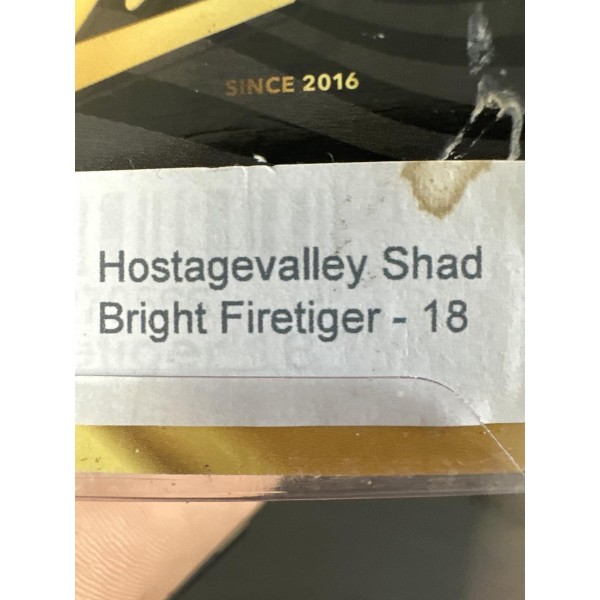 HOSTAGEVALLEY - Shad 18