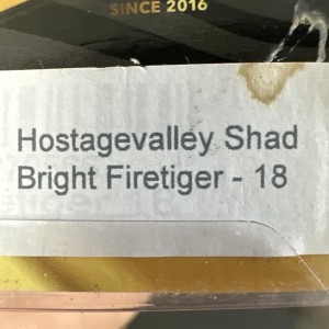 HOSTAGEVALLEY - Shad 18