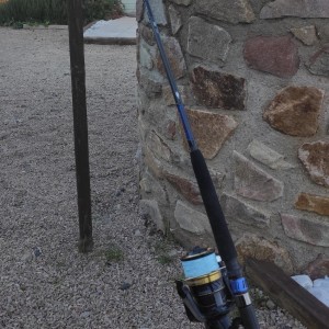 DAIWA + SHIMANO - Ensemble Canne Saltiga Tuna spinning + Moulinet Shimano spheros sw 20000