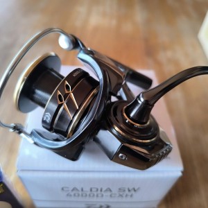 Daiwa caldia 4000 sw