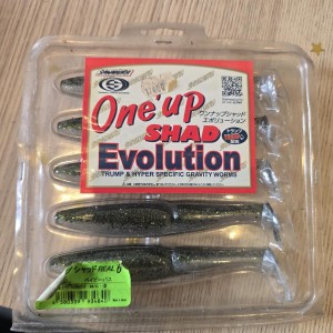 SAWAMURA - One Up shad évolution