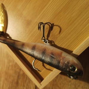 BIWAA - Leurre souple à palette Divinator de 35gr