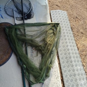 TEAM CARPFISHING - Épuisette 180cm/280cm max