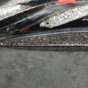 FLADEN - Leurres souples Spyder Shad 15 cm
