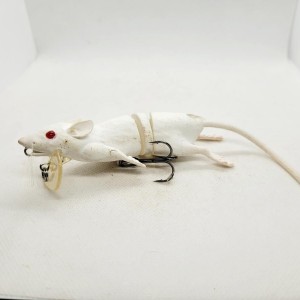 SAVAGE GEAR - 3D Rad 10cm