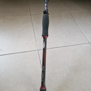 RODBUILDER - Canne big bait 20/140g