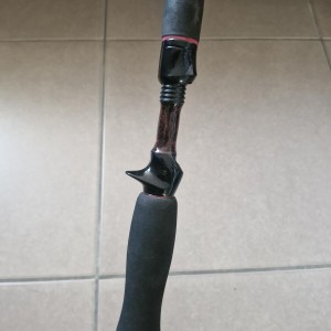 RODBUILDER - Canne big bait 20/140g