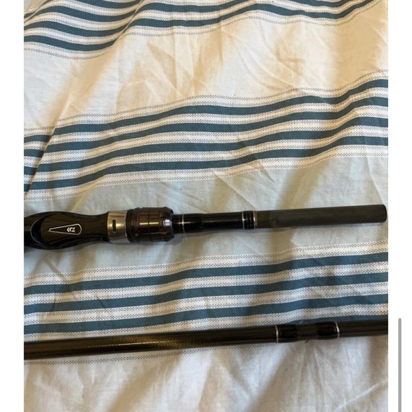 DAIWA - Canne casting exceler 60-120 grammes