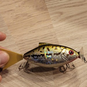 Motominnow