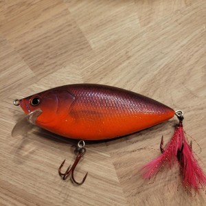 DEPS - Realiser 110