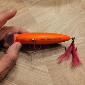 DEPS - Realiser 110
