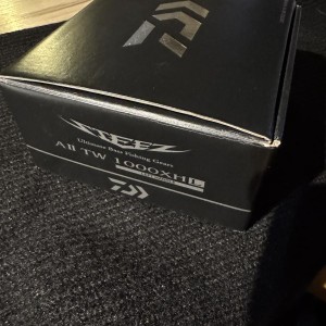 DAIWA - MOULINET CASTING STEEZ A 2 TW