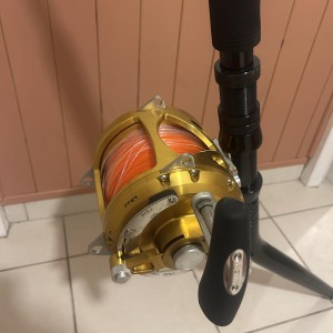 PENN - Ensemble traîne Canne Carnage & Moulinet international vis 130 gold