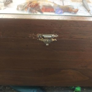 Boîte à pêche vintage