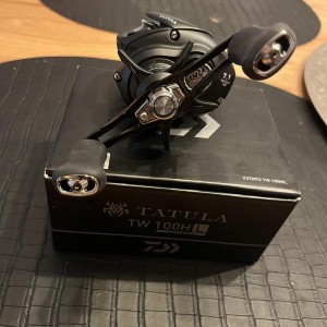 DAIWA - Moulinet DAIWA casting 100