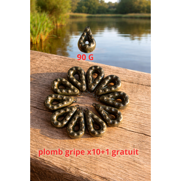 Plombs carpe 90g