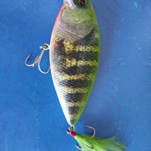 DEPS - Realizer